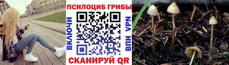 Галлюциногенные грибы мицелий  Балтийск 